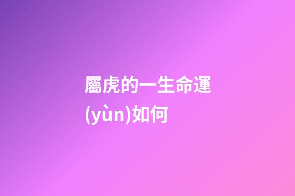 屬虎的一生命運(yùn)如何