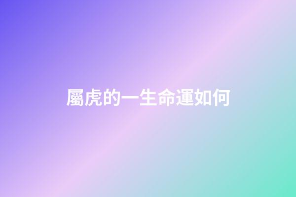 屬虎的一生命運如何