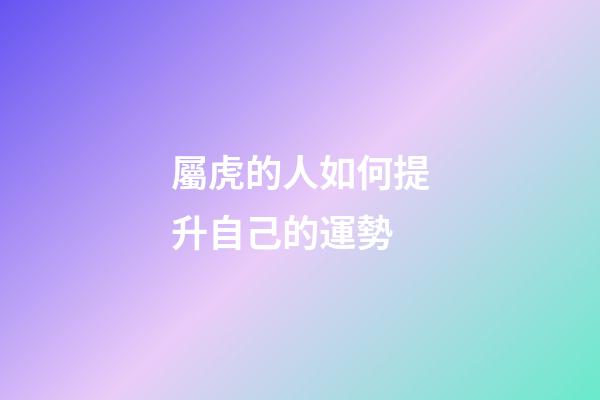 屬虎的人如何提升自己的運勢