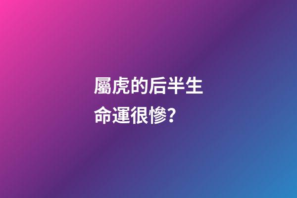 屬虎的后半生命運很慘？