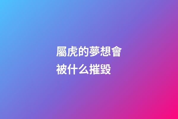 屬虎的夢想會被什么摧毀
