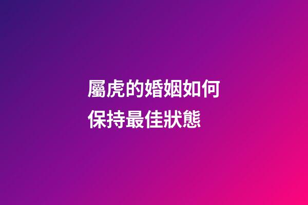 屬虎的婚姻如何保持最佳狀態