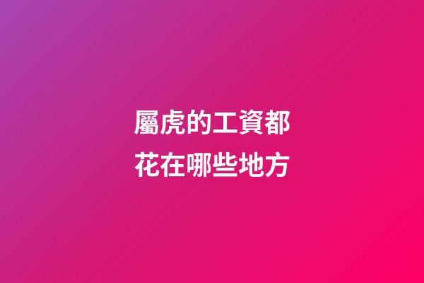 屬虎的工資都花在哪些地方