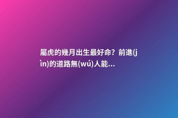 屬虎的幾月出生最好命？前進(jìn)的道路無(wú)人能擋