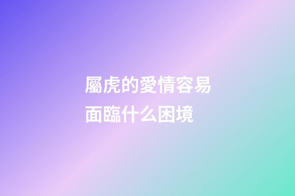屬虎的愛情容易面臨什么困境