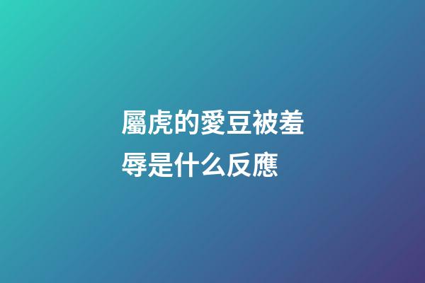 屬虎的愛豆被羞辱是什么反應