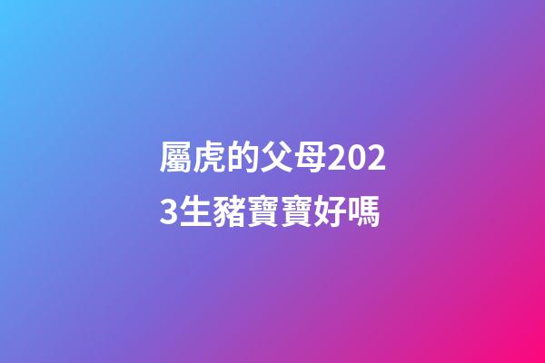 屬虎的父母2023生豬寶寶好嗎