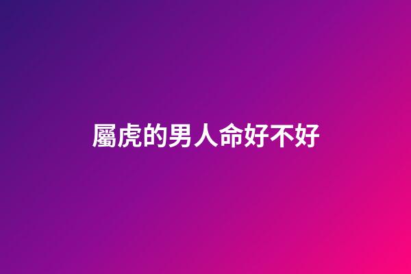 屬虎的男人命好不好
