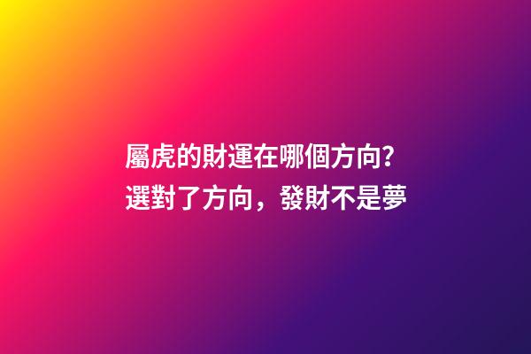 屬虎的財運在哪個方向？選對了方向，發財不是夢