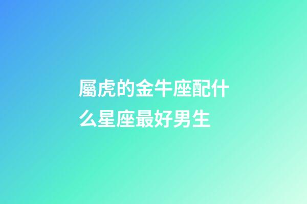 屬虎的金牛座配什么星座最好男生-第1張-星座運(yùn)勢-玄機(jī)派