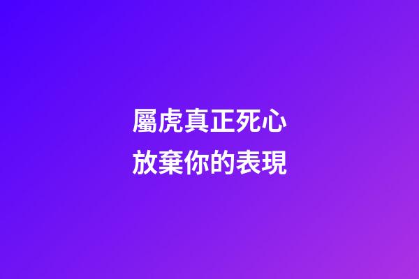 屬虎真正死心放棄你的表現