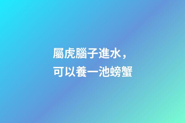 屬虎腦子進水，可以養一池螃蟹