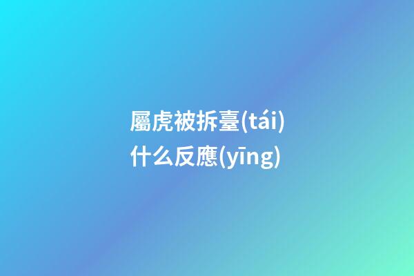 屬虎被拆臺(tái)什么反應(yīng)