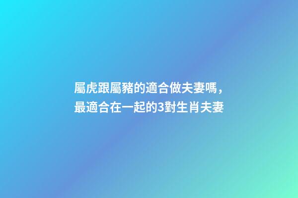 屬虎跟屬豬的適合做夫妻嗎，最適合在一起的3對生肖夫妻-第1張-觀點-玄機派