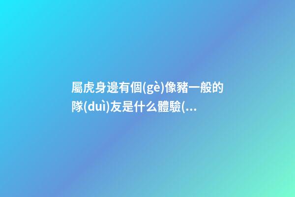 屬虎身邊有個(gè)像豬一般的隊(duì)友是什么體驗(yàn)