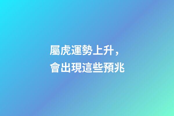 屬虎運勢上升，會出現這些預兆