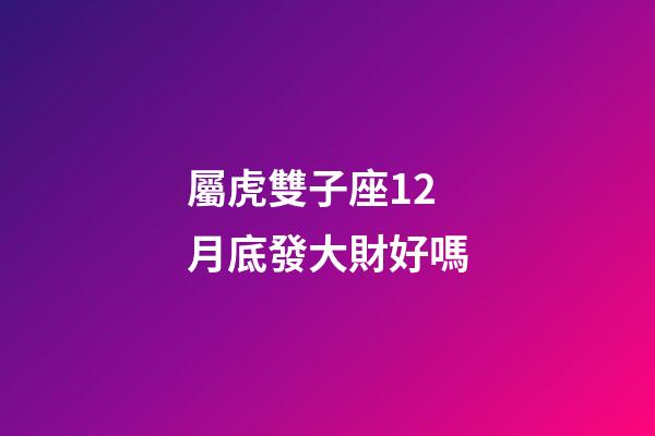 屬虎雙子座12月底發大財好嗎-第1張-星座運勢-玄機派