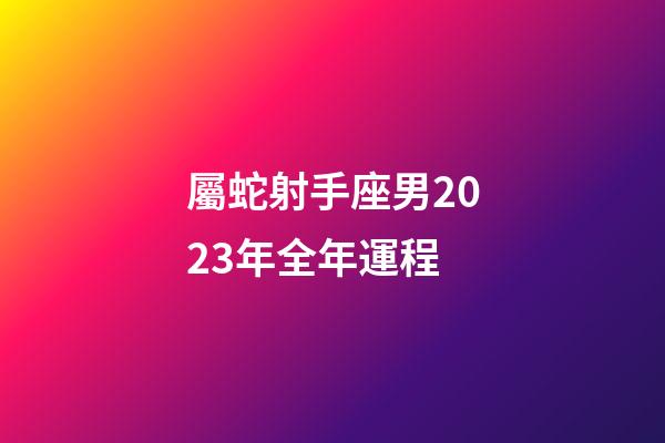 屬蛇射手座男2023年全年運程-第1張-星座運勢-玄機派