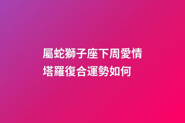 屬蛇獅子座下周愛情塔羅復合運勢如何-第1張-星座運勢-玄機派