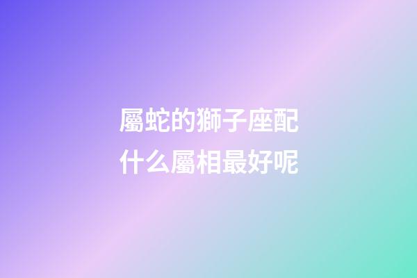 屬蛇的獅子座配什么屬相最好呢-第1張-星座運勢-玄機派