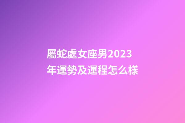 屬蛇處女座男2023年運勢及運程怎么樣-第1張-星座運勢-玄機派