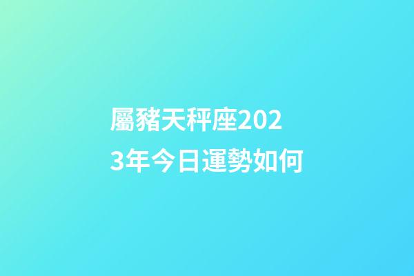 屬豬天秤座2023年今日運勢如何-第1張-星座運勢-玄機派