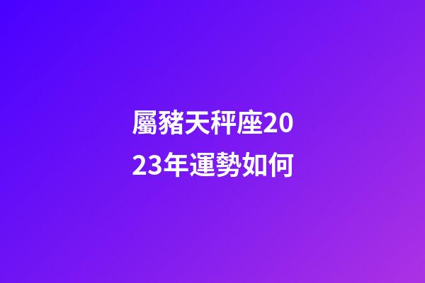 屬豬天秤座2023年運勢如何-第1張-星座運勢-玄機派