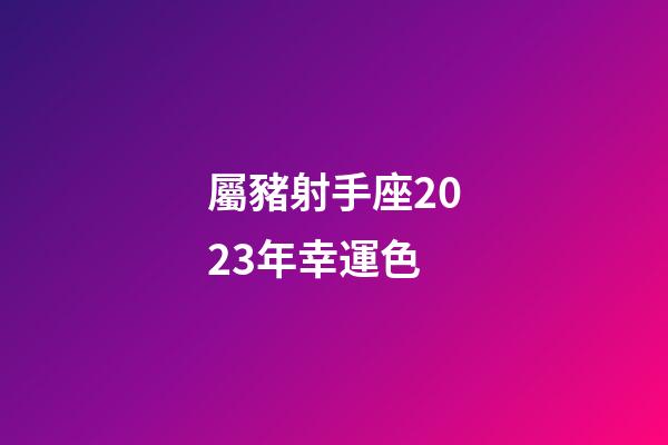 屬豬射手座2023年幸運色-第1張-星座運勢-玄機派