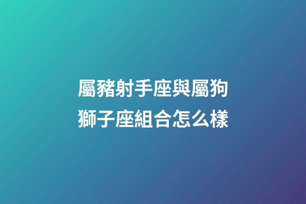 屬豬射手座與屬狗獅子座組合怎么樣-第1張-星座運勢-玄機派