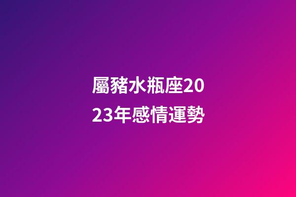 屬豬水瓶座2023年感情運勢-第1張-星座運勢-玄機派