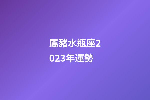 屬豬水瓶座2023年運勢-第1張-星座運勢-玄機派