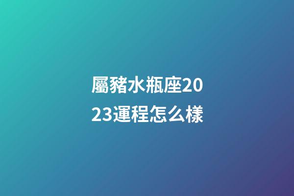 屬豬水瓶座2023運程怎么樣-第1張-星座運勢-玄機派