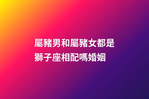 屬豬男和屬豬女都是獅子座相配嗎婚姻-第1張-星座運勢-玄機派