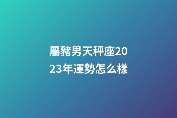 屬豬男天秤座2023年運勢怎么樣-第1張-星座運勢-玄機派