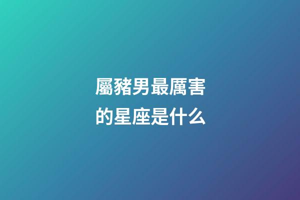 屬豬男最厲害的星座是什么