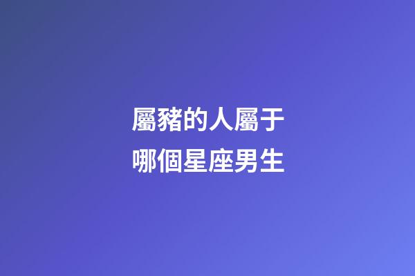 屬豬的人屬于哪個星座男生