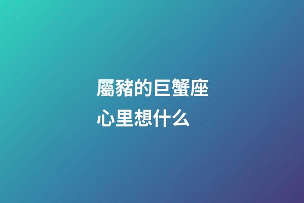 屬豬的巨蟹座心里想什么-第1張-星座運勢-玄機派