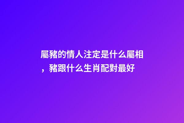 屬豬的情人注定是什么屬相，豬跟什么生肖配對最好-第1張-觀點-玄機派
