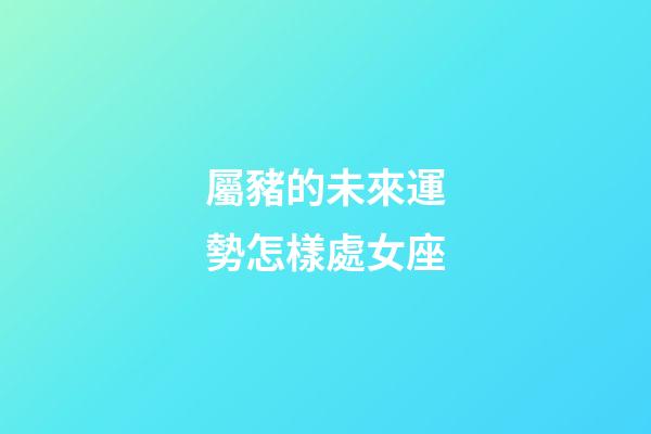 屬豬的未來運勢怎樣處女座