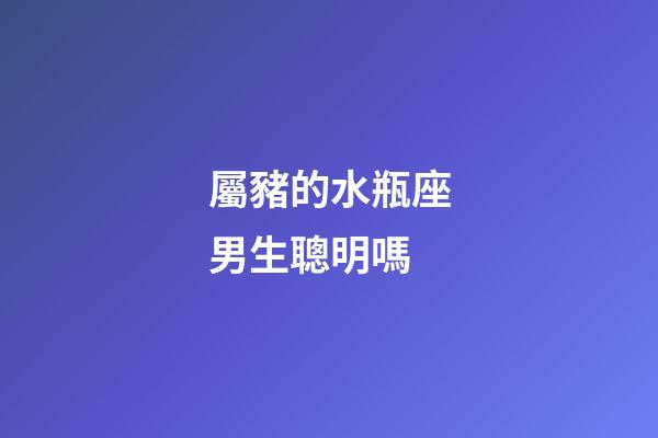 屬豬的水瓶座男生聰明嗎-第1張-星座運勢-玄機派