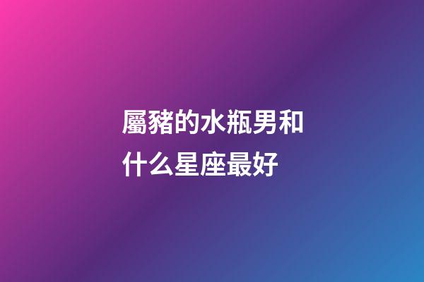 屬豬的水瓶男和什么星座最好-第1張-星座運勢-玄機派