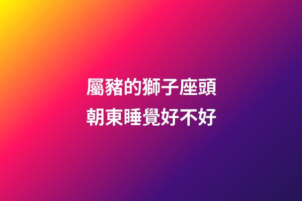 屬豬的獅子座頭朝東睡覺好不好-第1張-星座運勢-玄機派