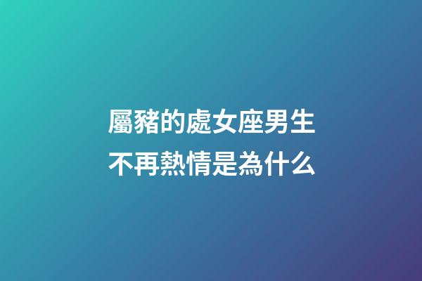 屬豬的處女座男生不再熱情是為什么-第1張-星座運(yùn)勢(shì)-玄機(jī)派