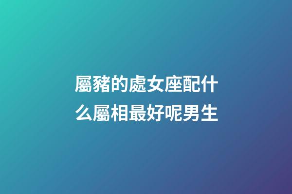 屬豬的處女座配什么屬相最好呢男生-第1張-星座運勢-玄機派