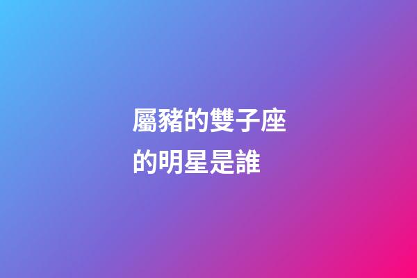 屬豬的雙子座的明星是誰