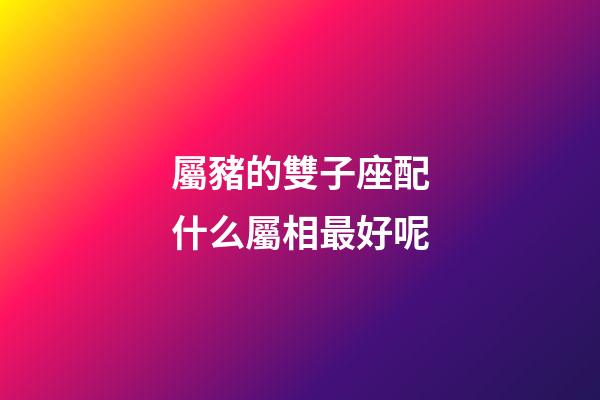 屬豬的雙子座配什么屬相最好呢-第1張-星座運勢-玄機派