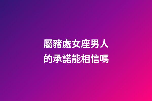 屬豬處女座男人的承諾能相信嗎-第1張-星座運勢-玄機派