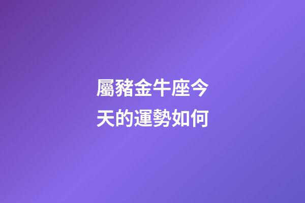 屬豬金牛座今天的運勢如何