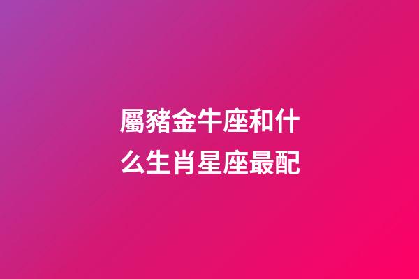 屬豬金牛座和什么生肖星座最配