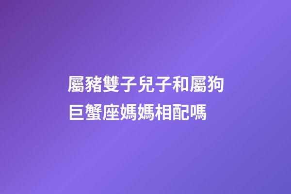 屬豬雙子兒子和屬狗巨蟹座媽媽相配嗎-第1張-星座運(yùn)勢-玄機(jī)派